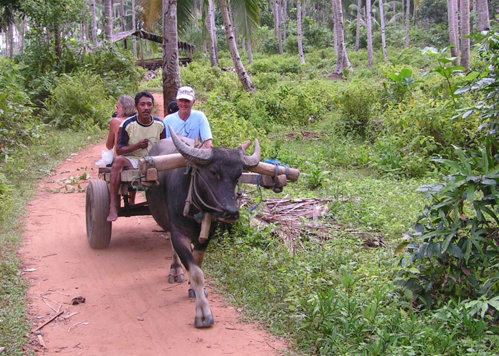 transport aux Moluques (Sula)